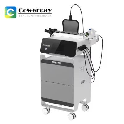 China Fat Burning Machine RET CET Deep Therapy Diathermy Reduce Fat Machine for sale