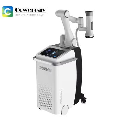 China 360 Cryolipolysis Slimming Machine Cryo+EMS Stimulatie Machine voor vetvermindering Te koop