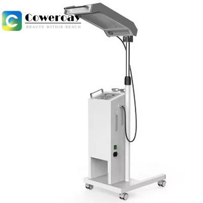 China Pdt Led Light Therapy Skin Whitening Rejuvenation Skin Care Beauty Machine for sale