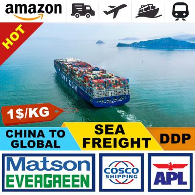 China The free storage space for 30 days free freight service from China to the world for sale