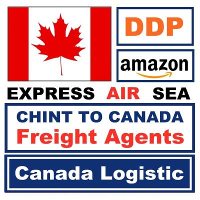 China Free Storage For 30 Days Top10 Cheapest Sea Shipping Door To Door Form Shenzhen To Canada USA Amazon FBA Ebay Warehouse DDP UPS DHL Express Air Freight for sale