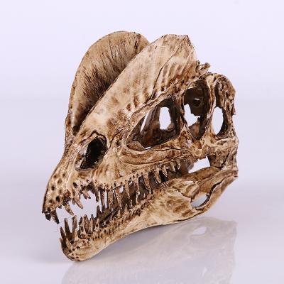 China Hot Selling Europe Resin Dinosaur Skull Animal Model Crafts for sale