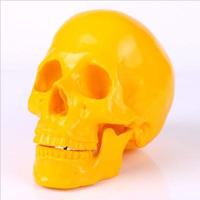 China Europe Resin Skull Europe Style Home Figure Handcarfts Halloween Gift Human Head Skull Sculpture for sale