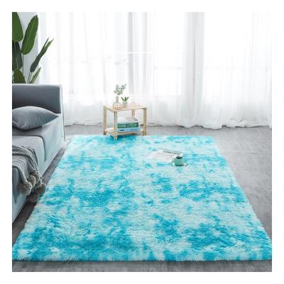 China Good Quality Washable Wholesale Customized Modern Blankets Living Room Fluffy Carpet for sale