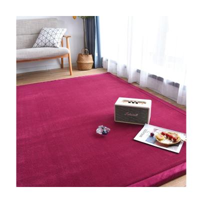 China Coral Velvet Floor Washable Super Soft Floor Mat Foldable Thick Tatami Mats Te koop