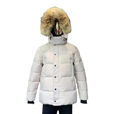 China Leesourcing QUICK DRY Men Down Jacket Warm Hooded Recycled Fabric Men's Polyester Goose Stripper Jacket for sale