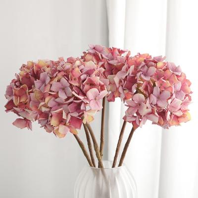 China Wedding L-059 Simple Artificial Hydrangea Silk Flower Autumn Dry Flower Decorative Flower for sale