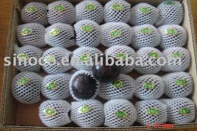 China Fresh fresh black plum for sale