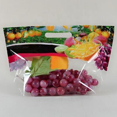 China Safety Good Quality Stand Fresh Fruits Packaging Plastic Bag With Hanging And Ziplock for sale