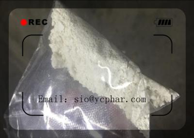 China White Powder 7-keto DHEA CAS: 566-19-8 Bodybuilding Efficient and Safe Delivery for sale