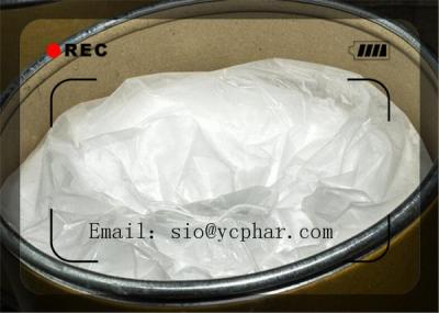 China White Powder Benzocaine CAS: 94-07-9 Bodybuilding Efficient and Safe Delivery for sale