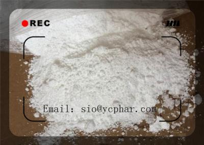 China White Powder Pramoxine HCL CAS: 637-58-1 Bodybuilding Efficient and Safe Delivery for sale