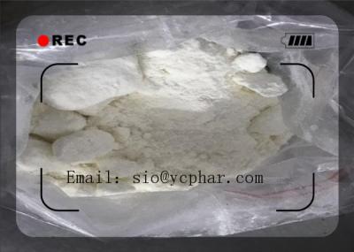 China White Powder Procainamide hydrochloride CAS: 614-39-1 Bodybuilding Efficient and Safe Delivery for sale