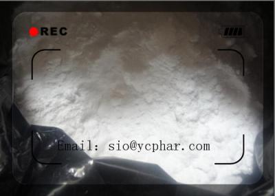 China Fat loss Raw powder L-Citrulline CAS 372-75-8 Bodybuilding Regain confidence for sale