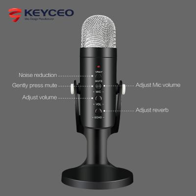 China Factory Stereo Professional Computer Gooseneck Microphone OEM RGB Gaming Mike Studio Condenser Mic USB Portable Recording Microphone For PC Laptop for sale