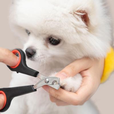 China Cheap Pet Viable Cat Dog Nail Clipper Trimmer Stainless Steel Pet Cat Grooming Nail Clippers Wholesale for sale