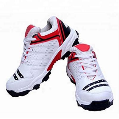 China Cricket Shoes Custom 1 Pair Cricket Spikes Shoes For Men for sale