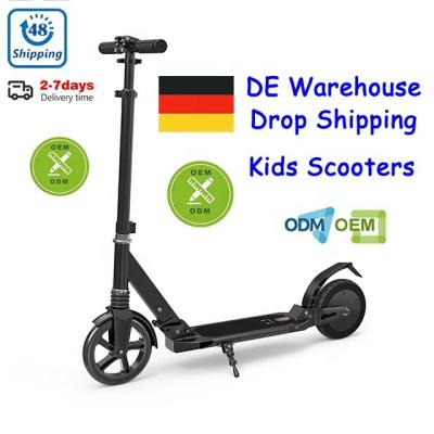 China Outdoor sports specializing in the production of 2 wheel dismountable display battery foldable electric scooter for sale