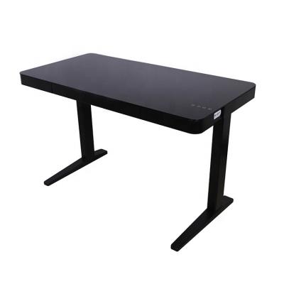 China Office Gaming Table PC Desk (Height)Adjustable Logo Ergonomic Smart Computer Desk OEM Writing Workstation for sale