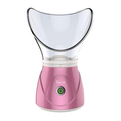 China Sokany Portable Face Vaporizer Mist Temperature Skin Rejuvenation Humidifier 1078 Nano Ion Face Vaporizer for sale