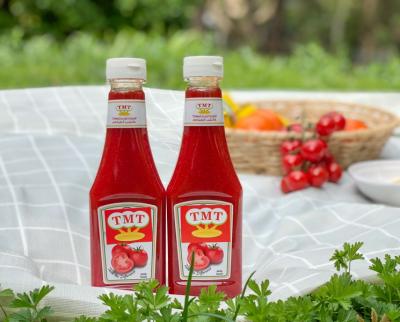 China plastic bottle ketchup tomato ketchup 340g OEM brand China manufacturer for sale