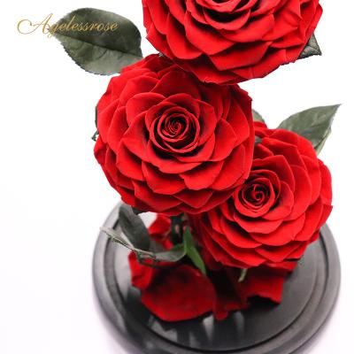 China Wedding decoration & Handmade Gift Three Pcs Red Preserved Roses In Dome Glass Princess For Gift Set for sale