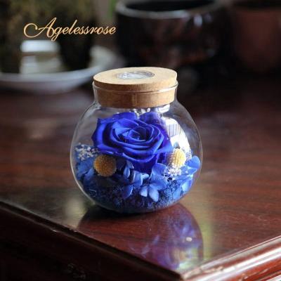 China Blue Romantic Flowers Birthday Gift Girlfriend Rose Preserved Fresh Flower Wishing Bottle Gift Box for sale