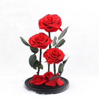 China 2019 fashion hot sale and 100% handmade preserved roses and nature flowers in the glass dome for sale