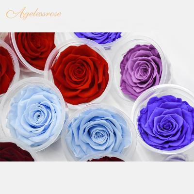 China Real Rose Christmas Home Decor Supplies Wholesale Light Blue Preserved Flower Rose Wedding Wall Decoration for sale