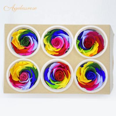 China Romantic Christmas Home Decor Supplies Wholesale 5-6cm Rainbow Preserved Roses Head Bud For Christmas Decor for sale