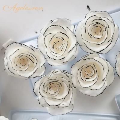 China Fresh flowers specially designed black-edged white rose preserved flower head for sale