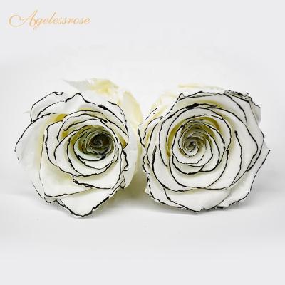 China Gift& beautiful home decoration 4-5cm white rose with black border preserved flower rose for decoration for sale