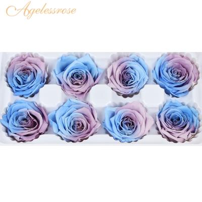 China Fresh roses touch judging 4-5cm wholesale class a preserved rainbow rose preserved flower for gift craft and valentines gifts for sale