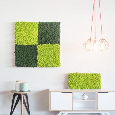 China Home Decorations.Gifts Claiming Real Full Natural Preserved Art Artificial Moss Wall Moss Home Decor and Outdoor Party Flower Decoration for sale