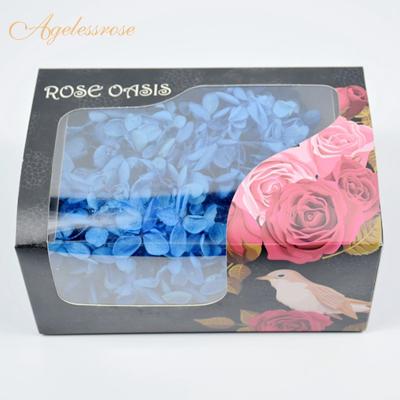 China Hydrangea Fresh Touch Smelling Yunnan Fly OEM Real Touch Preserved Hydrangea For Birthday Gift And Decoration for sale