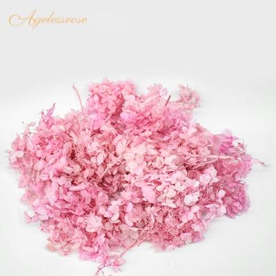 China Cool roses touch the latest hot selling feeling! Custom Design Preserved Kunming Hydrangea For Wedding Favors Gift for sale