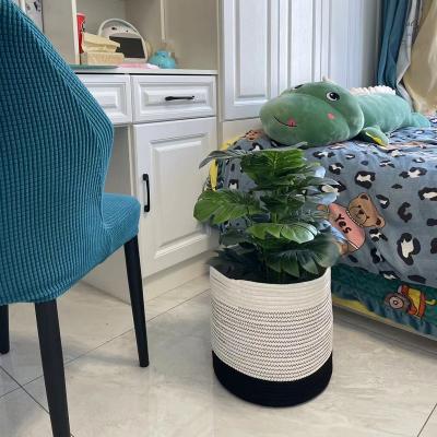 China Sustainable Modern Home Decor Storage Cotton Rope Plant Basket Woven Basket With Handles for sale