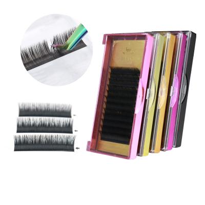 China Long Natural Ellipse Flat Lashes Single Eyelash Extensions Private Label Volume Lashes for sale