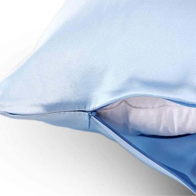 China Anti-Static Sleep Pillow Luxury Silky Pillow Case Sky Blue 100% Silk Pillow Case for sale