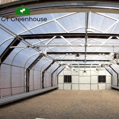 China Stable Structure Easily Assembled 100% China GT Greenhouse Blackout Greenhouse Light Deprivation Greenhouse Medicinal Plants for sale