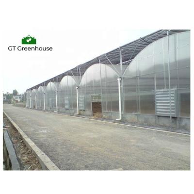 China Home Plant Growth Aeroponic Greenhouse System Polycarbonate Greenhouse For Sale for sale