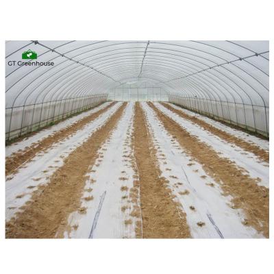 China Stable High Quality GT Structure Plastic Sheet Greenhouses Industrial Strong Frame Single Span Greenhouse for sale