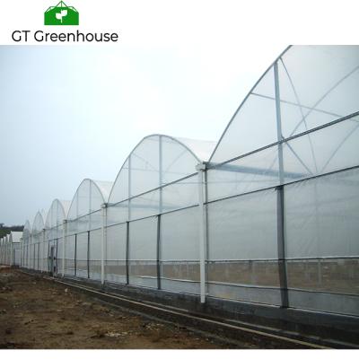 China PE Multi-span Plastic Film Greenhouse Tomato Greenhouse And Strawberry Greenhouse For Agriculture for sale