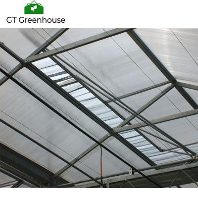 China Plant Growth Invernadero Greenhouse Solar White Polycarbonate Greenhouse For Sale for sale