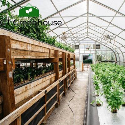 China Stable Structure Easily Assembled High Quality Polycarbonate Greenhouse For Vegetable Growing for sale