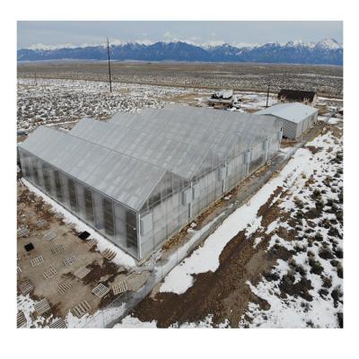 China Plant Growth Agriculture Twin Wall Insulated Polycarbonate Greenhouse for sale