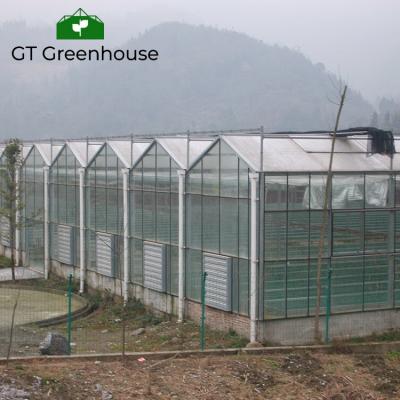 China Plant Growing Hydrophonics System Polycarbonate Greenhouse Plastic Sheet Board for sale