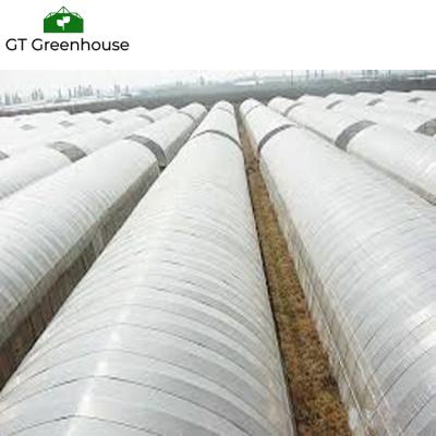 China Tomato Greenhouse Glass Agricultural Glass Panels Long Life Period for sale