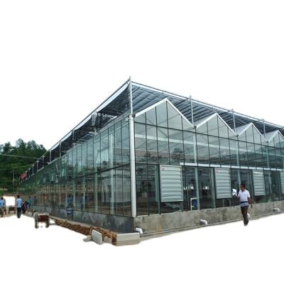 China Glass Multi Span Tomato Hydroponic Commercial Greenhouse Glass for sale