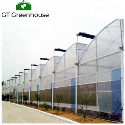 China Stable Structure Easily Assembled Tropical Sawtooth Greenhouse Agriculture Film Cover Greenhouse for sale